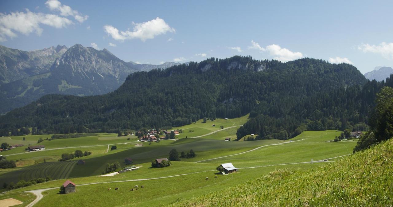 Auszeit Ferienwohnungen Obermaiselstein Exterior foto